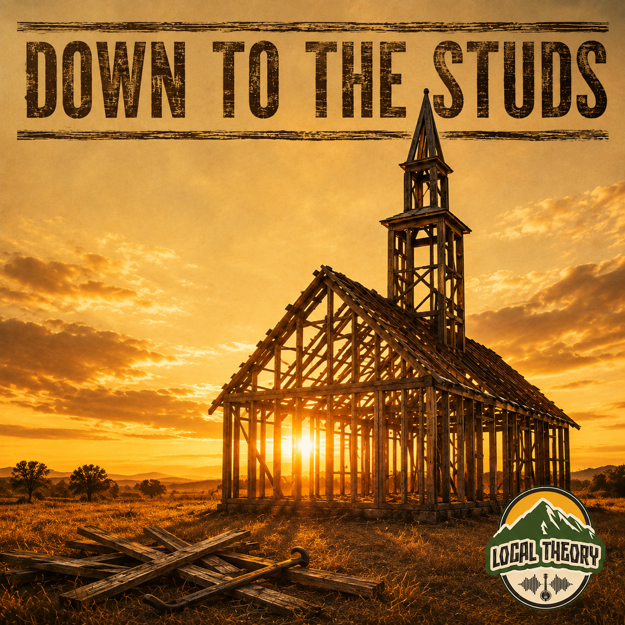 DOWN TO THE STUDS cover art